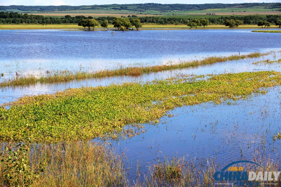 黑河特大洪災水漫農田 200余萬畝農作物受災慘重