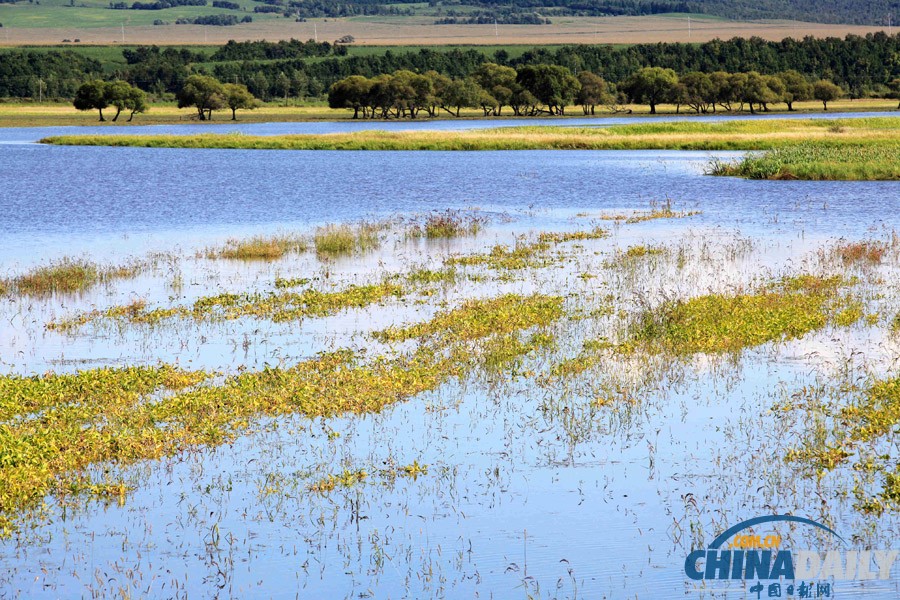 黑河特大洪災水漫農田 200余萬畝農作物受災慘重