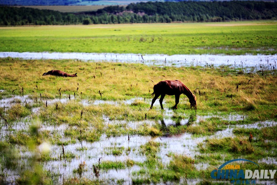 黑河特大洪災水漫農田 200余萬畝農作物受災慘重