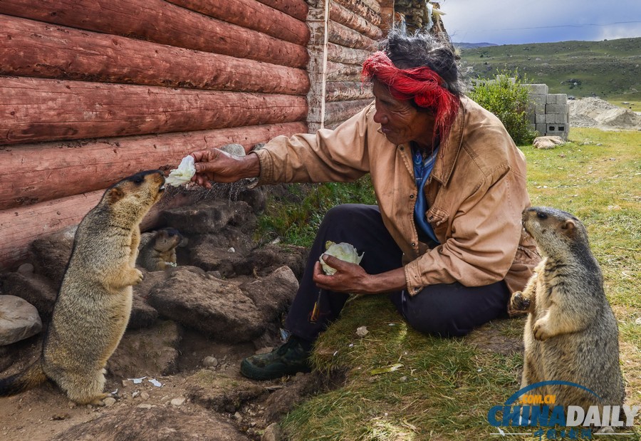 中國日報一周圖片精選：8月24日-30日