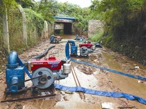 還原深圳女司機涵洞溺亡過程 專家:本該有逃生機會