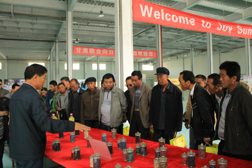 甘肅敬業公司精心搭建致富平臺,為農民提供全產業鏈服務