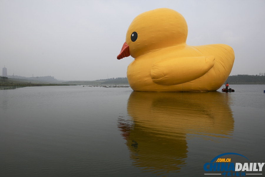 北京：大黃鴨“游”進園博園