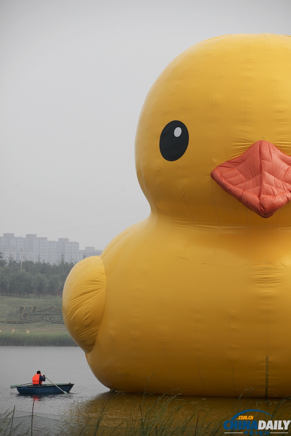 北京：大黃鴨“游”進(jìn)園博園