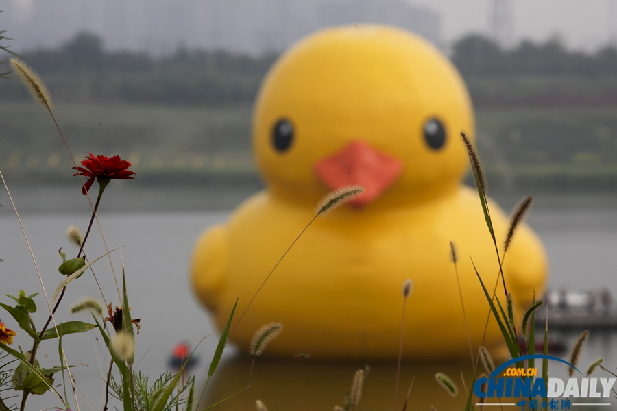 北京：大黃鴨“游”進園博園