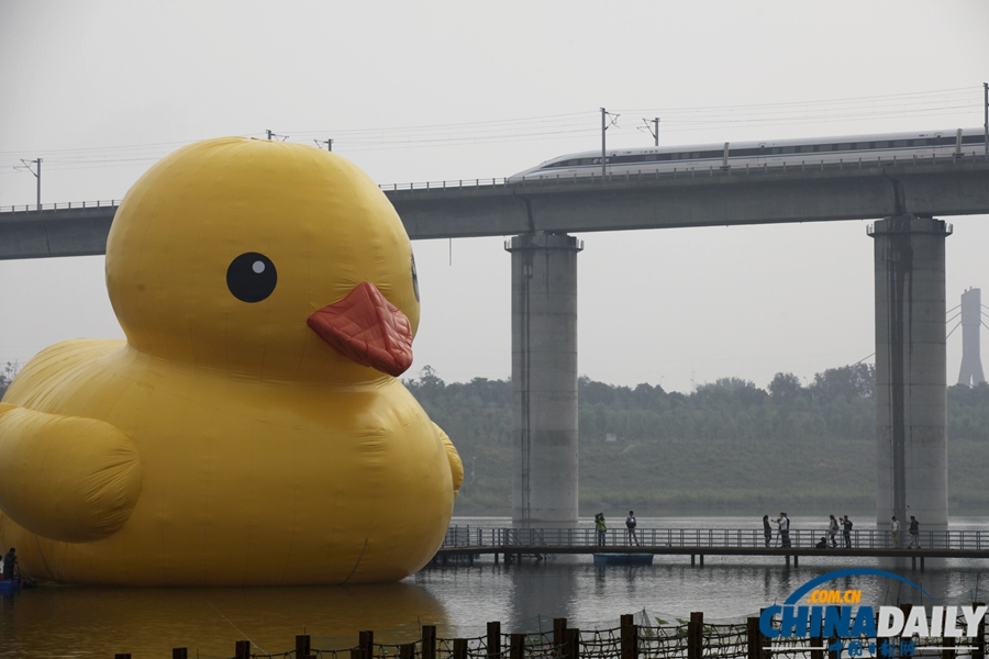北京：大黃鴨“游”進(jìn)園博園