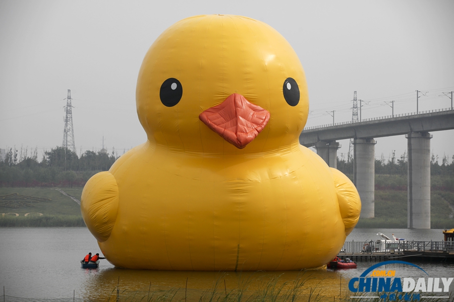 北京：大黃鴨“游”進(jìn)園博園