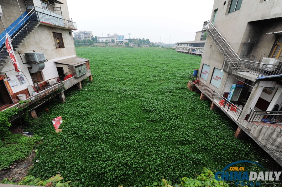 《中國日報》一周圖片精選：8月31日-9月6日