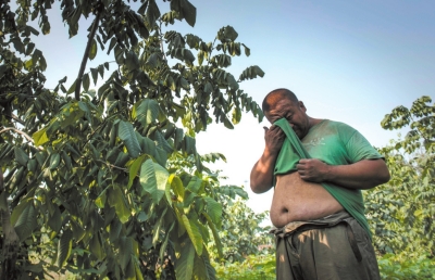 文玩核桃背后的謀生路