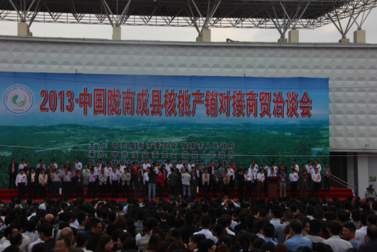 甘肅隴南成縣利用網(wǎng)絡(luò)新媒體推介做強(qiáng)核桃產(chǎn)業(yè) 促進(jìn)農(nóng)民增收