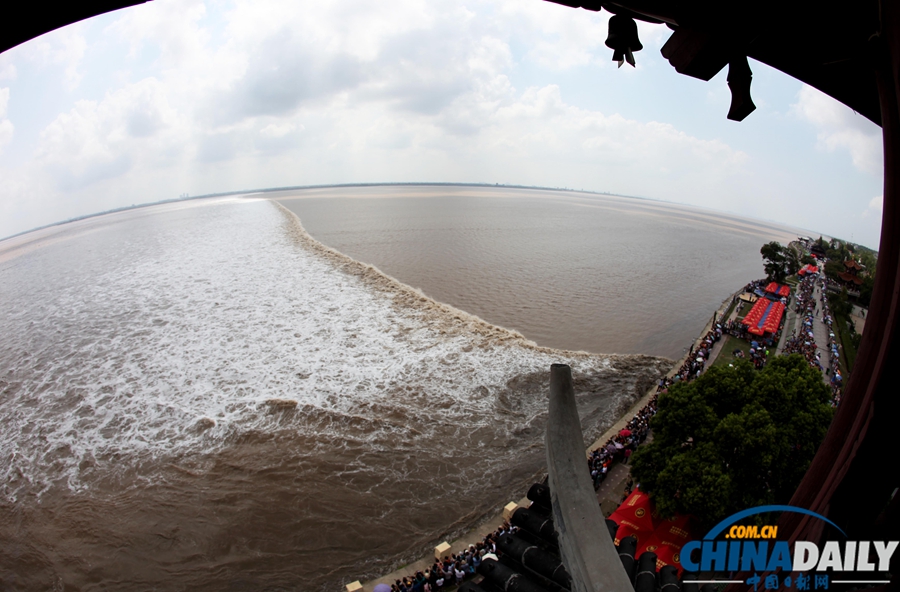 錢江潮水兇險(xiǎn) 觀潮者驚慌而逃[高清組圖]