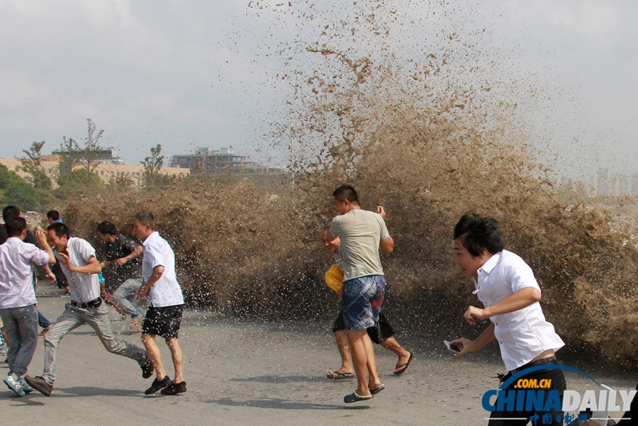 錢江潮水兇險 觀潮者驚慌而逃[高清組圖]