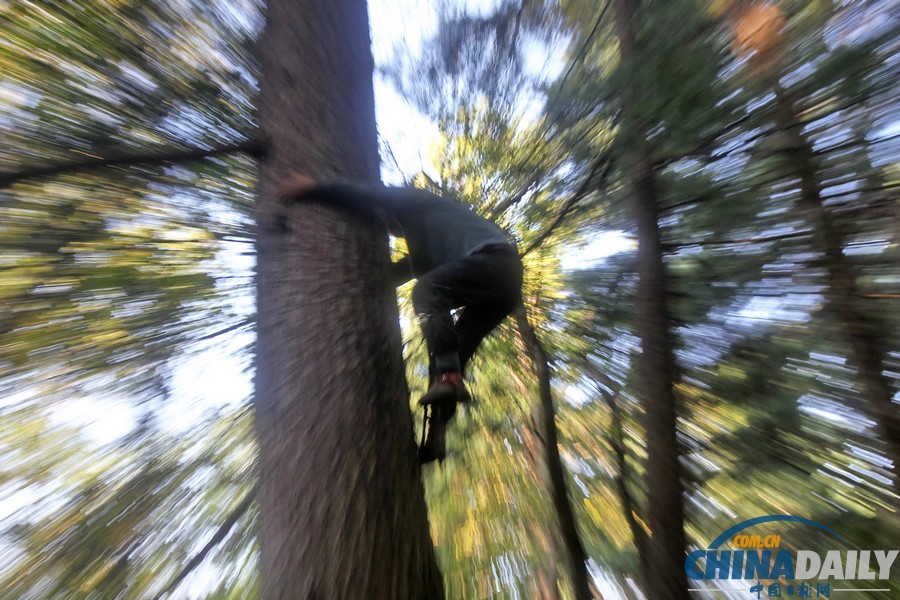 圖片故事：原始森林“跑山人”