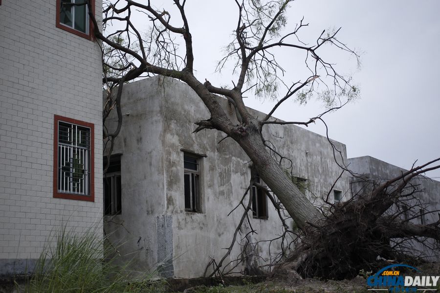 廣東陸豐：臺(tái)風(fēng)“天兔”來襲 受災(zāi)嚴(yán)重