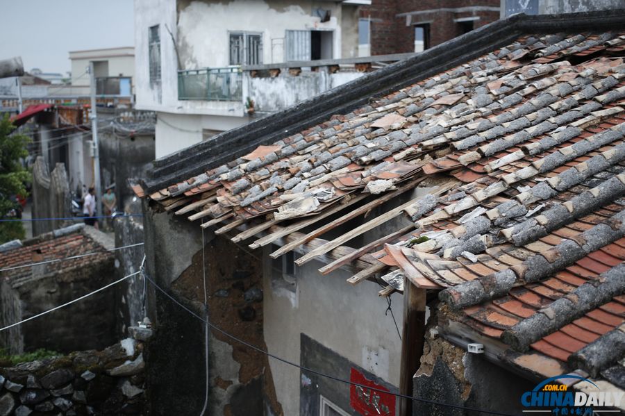 廣東陸豐：臺風(fēng)“天兔”來襲 受災(zāi)嚴(yán)重