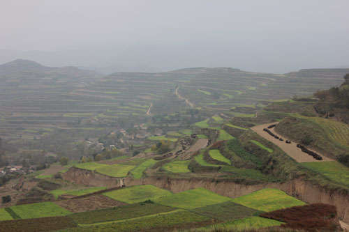 甘肅宕昌縣中藥材產銷對接洽談會喜簽項目22個