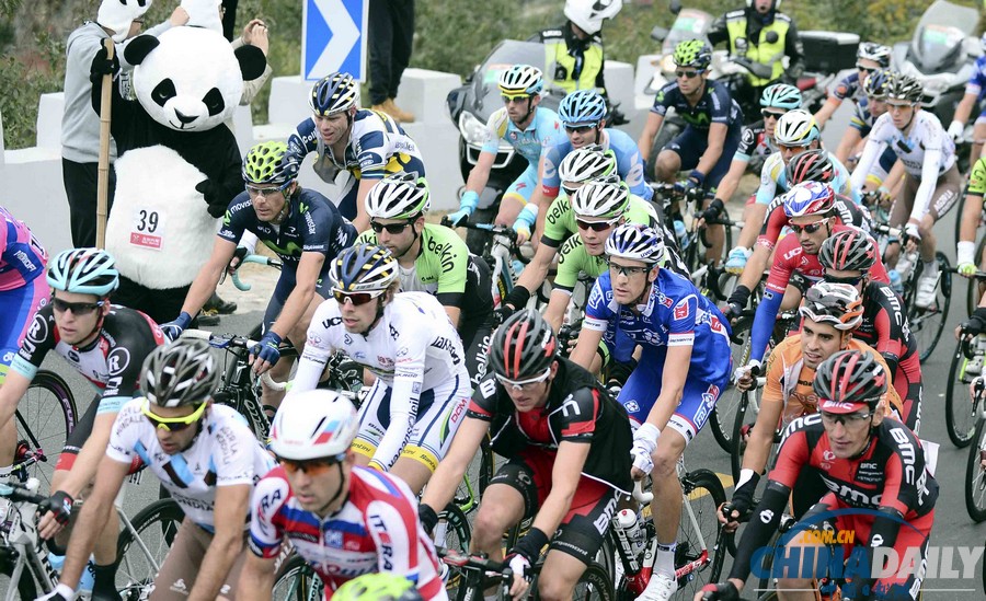 “熊貓”助力環(huán)京賽