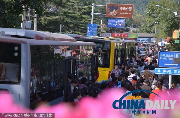 北京:香山紅葉迎來賞紅高峰 停車場8點就滿了