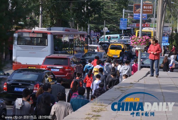 北京:香山紅葉迎來賞紅高峰 停車場8點就滿了
