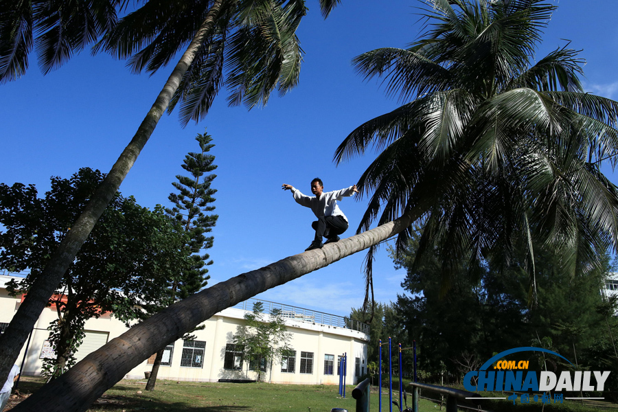 海南驚現椰子樹上練武功“神人”