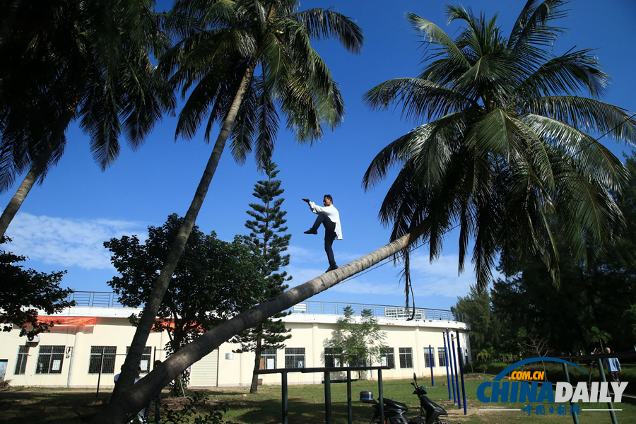海南驚現椰子樹上練武功“神人”