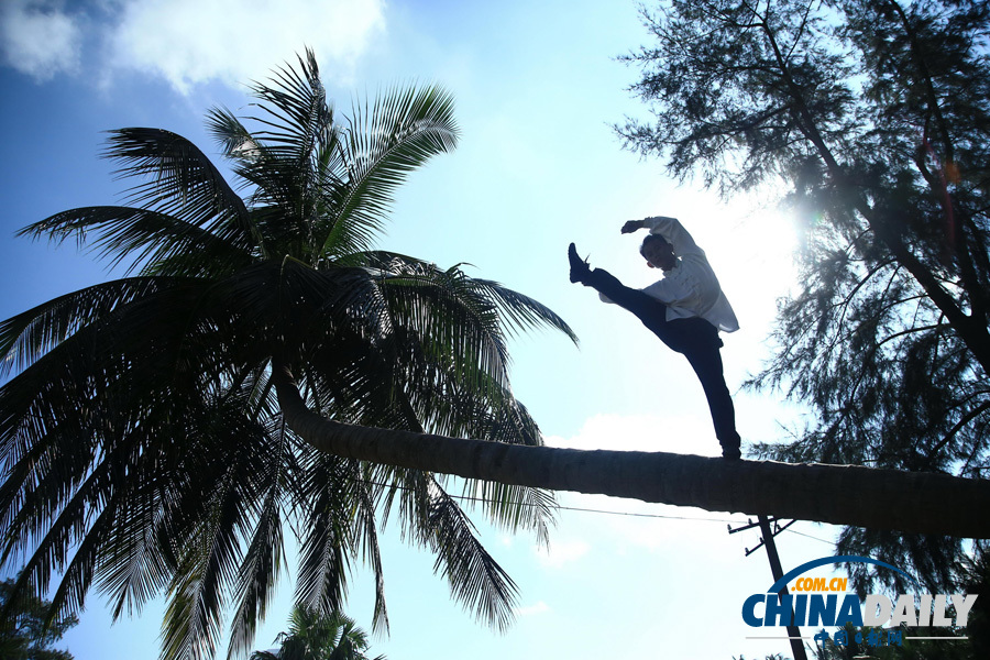 海南驚現椰子樹上練武功“神人”