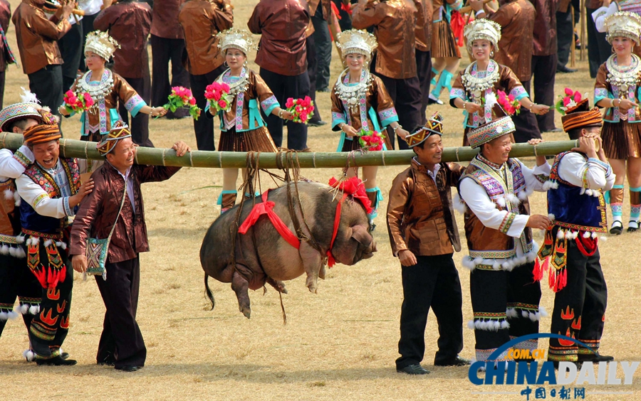 中國日報一周圖片精選：10月26日—11月1日