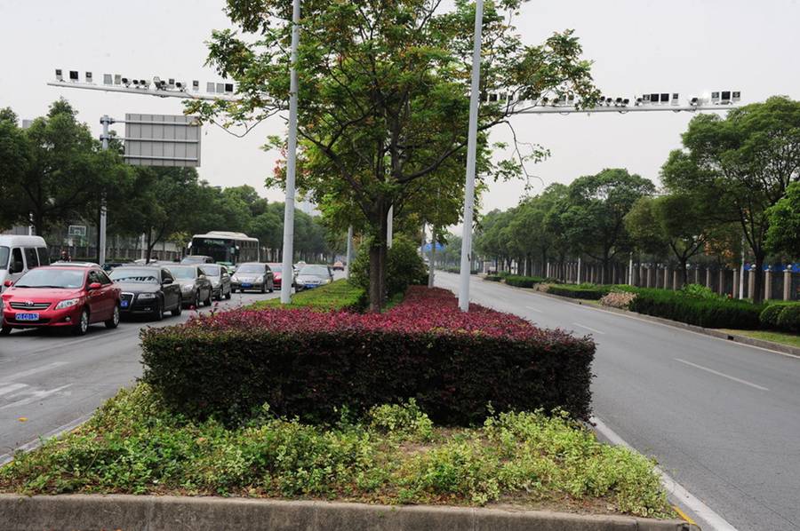 北京上海兩市路段現(xiàn)密集探頭遭調(diào)侃