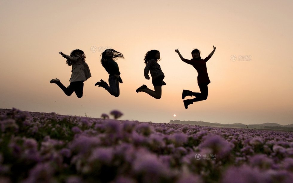 中國最大淡水湖提前枯水變成花海草原