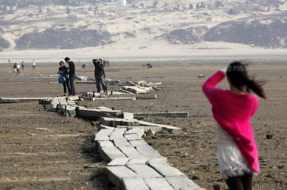 中國最大淡水湖提前枯水變成花海草原