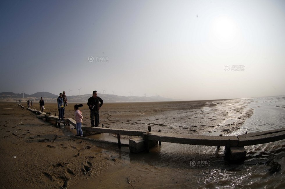 中國(guó)最大淡水湖提前枯水變成花海草原