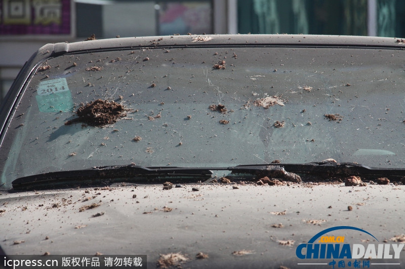 濟南地下管道爆炸掀翻路面 3人受傷