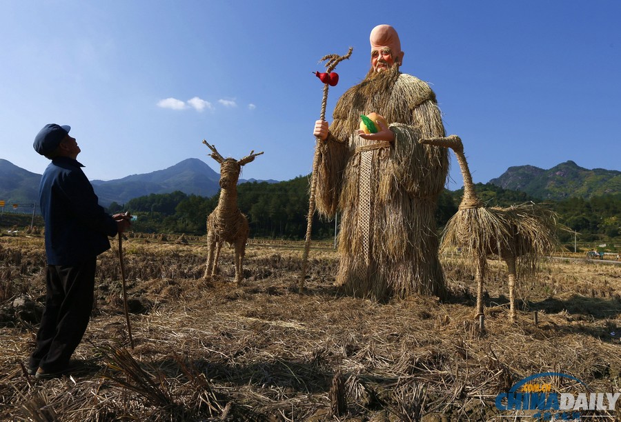 中國日報一周圖片精選：11月2日—8日