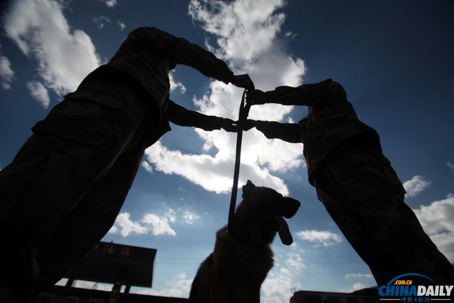 “戰(zhàn)友”的特殊告別:人犬分別的感人瞬間