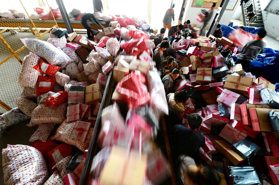 中國日報一周圖片精選：11月9日—15日