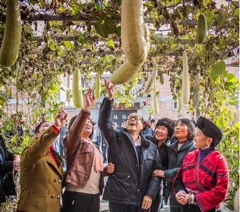 李嘉誠向民政部捐2000萬 資助內地女村官培訓