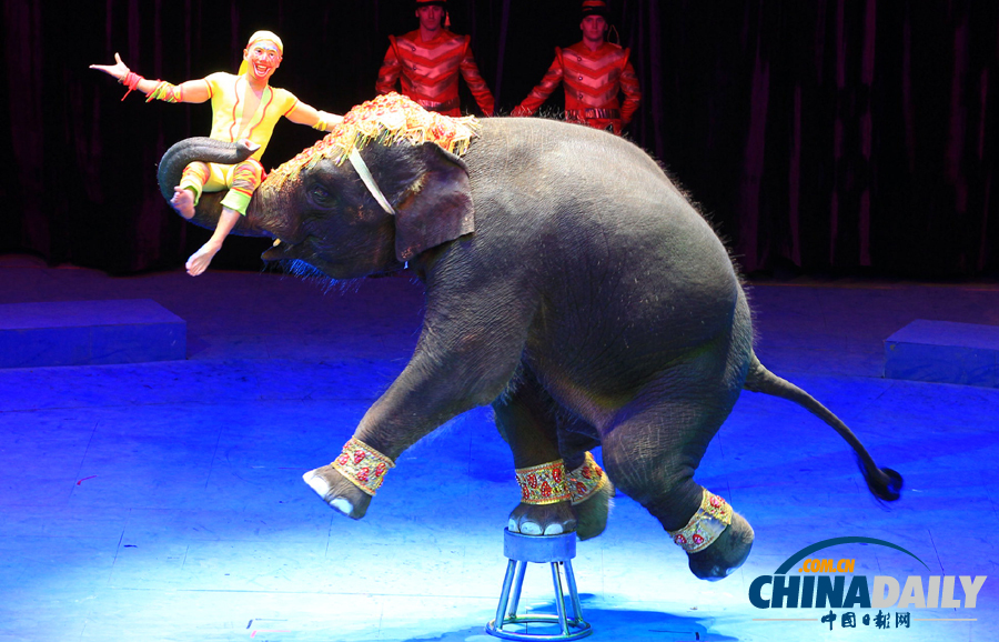 中國日報一周圖片精選：11月16日——22日