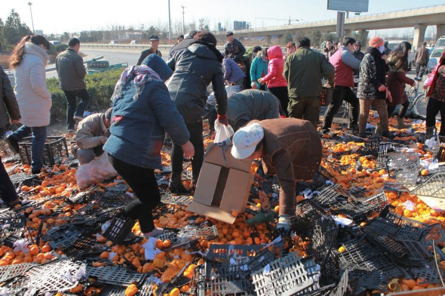 河北唐山貨車側翻35噸鮮桔遭哄搶