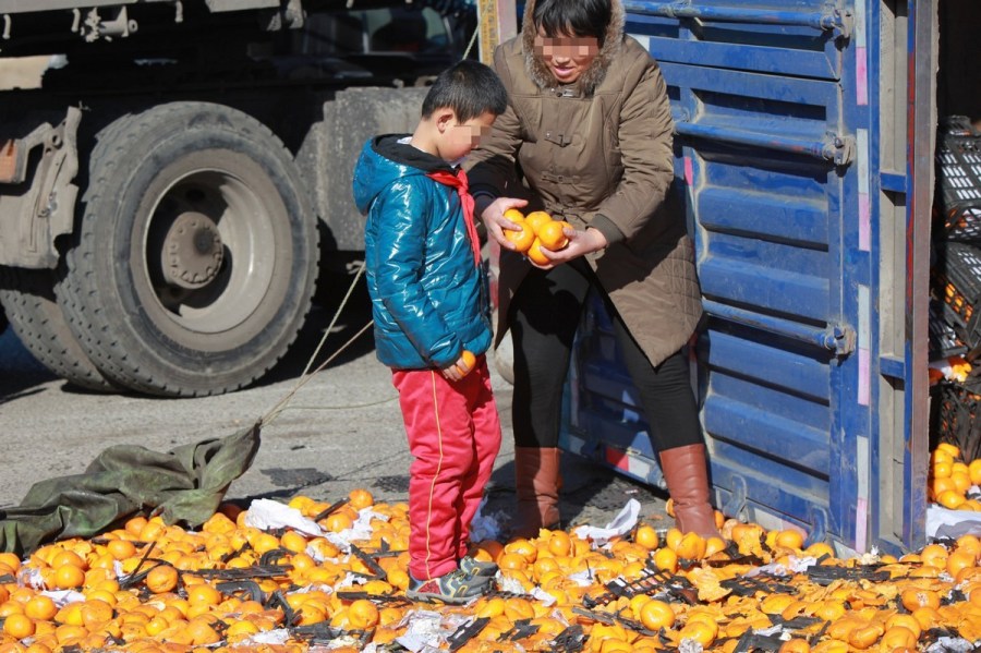 河北唐山貨車側翻35噸鮮桔遭哄搶
