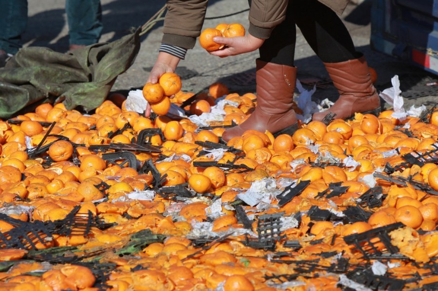 河北唐山貨車側翻35噸鮮桔遭哄搶