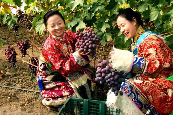 甘肅扶貧揚帆起航助農(nóng)致富，放飛農(nóng)民小康夢想