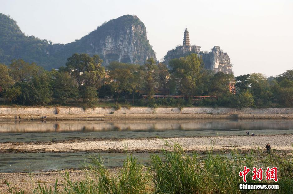 大量水草“入侵” 桂林漓江部分江面變“草坪”
