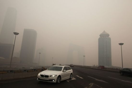 吃青菜體走紅遇神回復(fù)萌翻網(wǎng)友:我每天拿一片青菜當(dāng)口罩