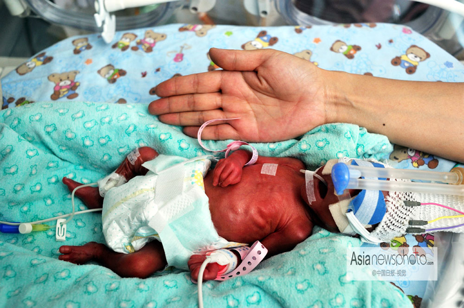 中國日報一周圖片精選：12月7日—13日