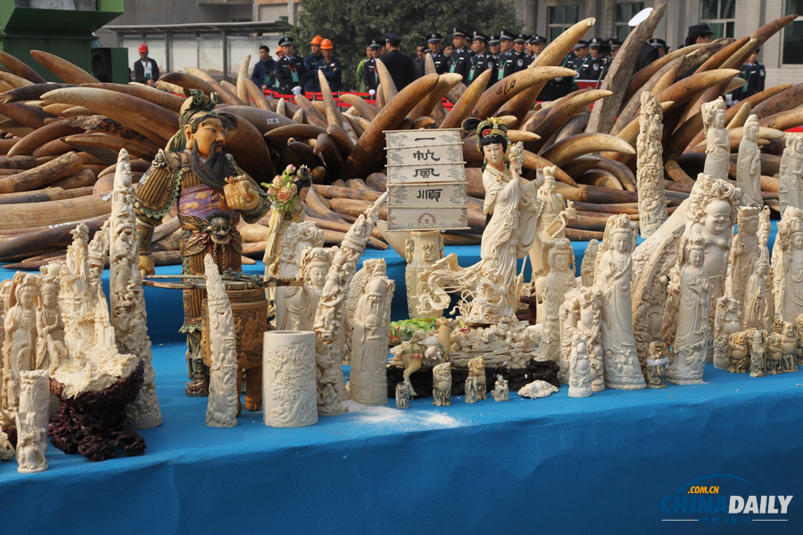 中國(guó)公開銷毀6.1噸執(zhí)法查沒象牙