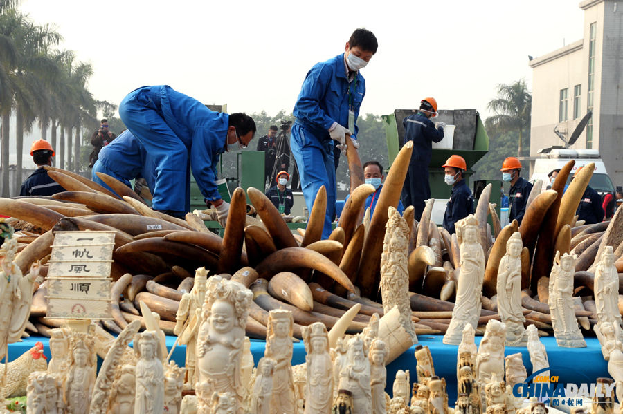 中國日報一周圖片精選：1月4日—10日