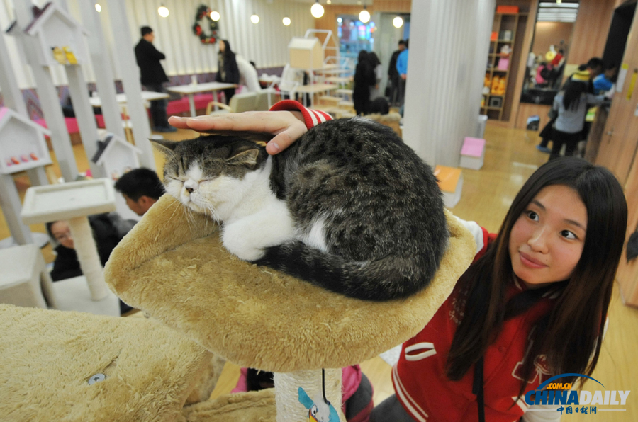 中國日報一周圖片精選：1月4日—10日