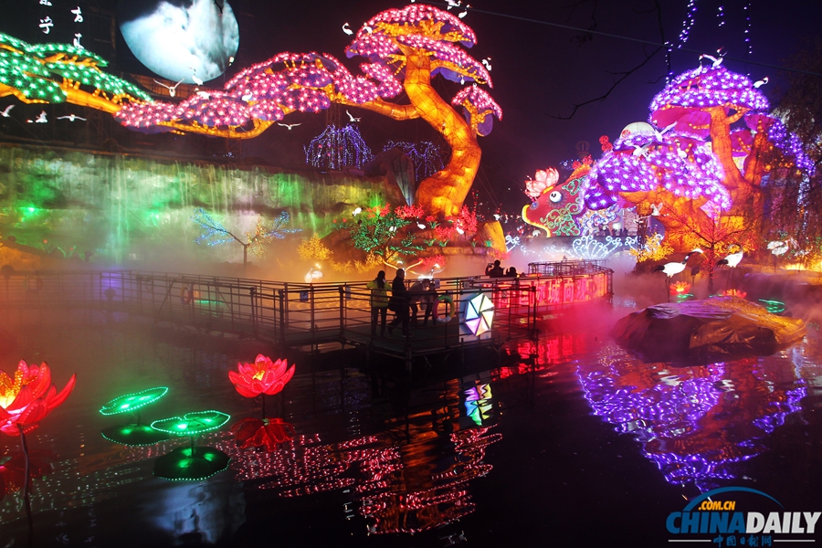 第20屆自貢國(guó)際恐龍燈會(huì)