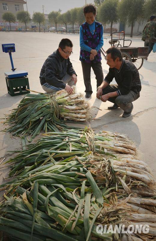 趙寧：大學(xué)生村官的老師夢