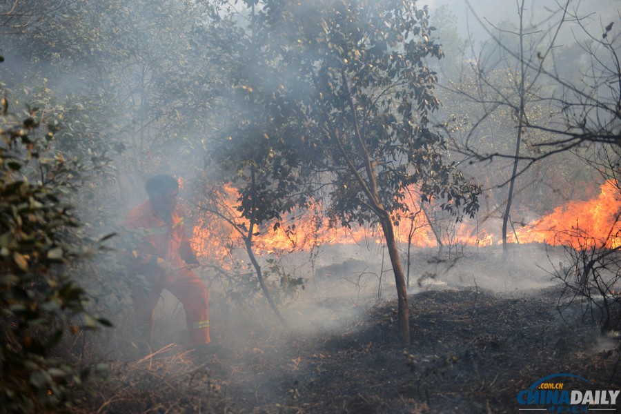 貴州福泉森林火災被撲滅 5救火人員遇難